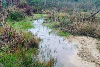  Visita técnica de campo para validação de levantamento hidrográfico de um Estudo Ambiental Simplificado (EAS). Esta é uma das nascentes do Rio Itajaí-Mirim, no município de Vidal Ramos  (SC).