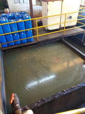  Visita técnica de campo para elaboração de Cadastro Técnico Federal (CTF), no município de Indaial - SC.