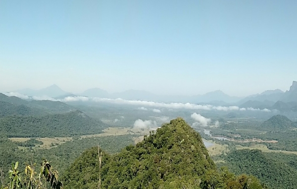 Serviços de Campo e Amostragens